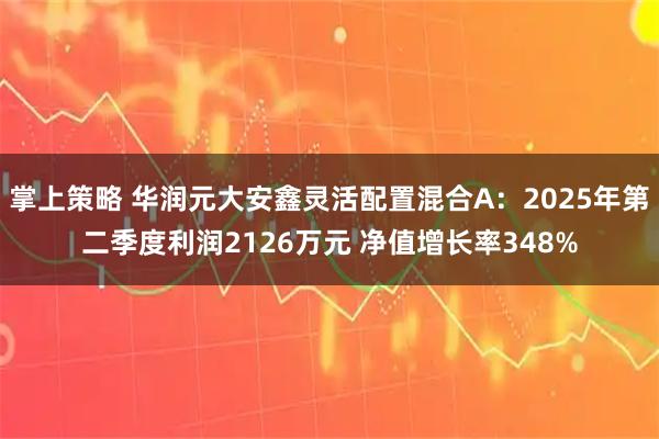 掌上策略 华润元大安鑫灵活配置混合A：2025年第二季度利润2126万元 净值增长率348%