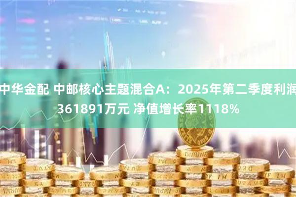 中华金配 中邮核心主题混合A：2025年第二季度利润361891万元 净值增长率1118%
