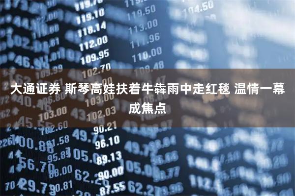 大通证券 斯琴高娃扶着牛犇雨中走红毯 温情一幕成焦点