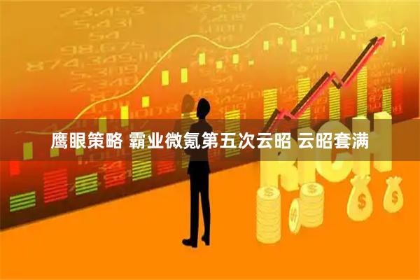 鹰眼策略 霸业微氪第五次云昭 云昭套满