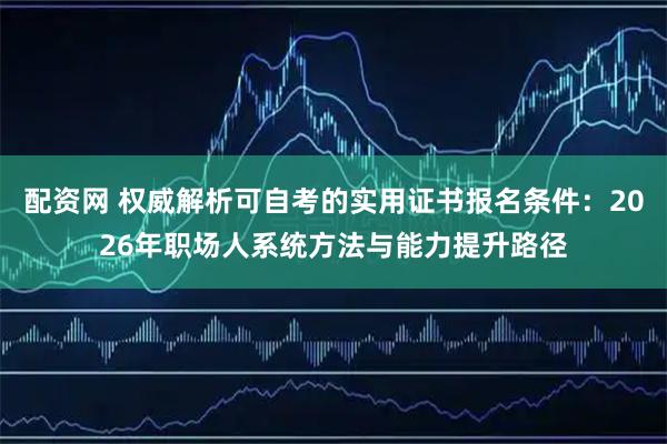 配资网 权威解析可自考的实用证书报名条件：2026年职场人系统方法与能力提升路径